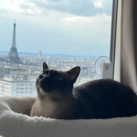 Alloggio in famiglia Privée Dans Vue Imprenable Sur La Tour Eiffel